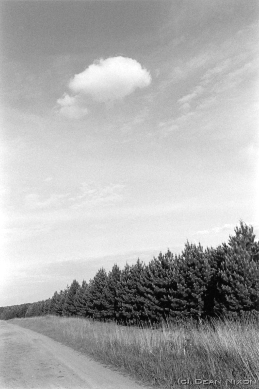 2003.10 Lausitz Landscape_hf <div align=left>October 2003<br>"It takes a lot of imagination to be a good photographer. You need less imagination to be a painter, because you can invent things. But in photography everything is so ordinary; it takes a lot of looking before you learn to see the ordinary," according to painter/photographer David Bailey. Ok David, whatever you say. <br>So, there I was, having ridden an old bike half way around a lake in the coal mining district in "far eastern Germany", standing on a tiny shore waiting for THE LIGHT...mid-autumn and basically disgusting weather, heavy clouds portending rain and I with numb feet and no raincoat, vacuously smoking cigarettes in a vain attempt to keep warm. Plan A is to attempt to photograph the slightly surreal landscape around these recultivated torn up regions in a more or less classical way   meaning simple composition with good or interesting light. It also means not a lot of opportunities, but certainly requires a lot of patience. A long ride followed by maybe a long wait, then a ride back in the dark possibly without a picture cos it just went grey and flat or I was too late anyway (bearing in mind that its getting darker earlier over here now). Then it happened, "just like in the movies", suddenly the clouds broke up sending brilliant almost horizontal rays across the lake to bounce off the far shore creating sharp contrasts of whitish sand and multi toned autumnal trees against a dark sky with bizzarely highlighted clouds and dark water full of sparkly bits...all a tad difficult to explain really, but what I was getting around to here wasnt really anything to do with Mr Baileys witticism - the thing was I suddenly realised that I had been in Germany for five years, mostly stuck in cities in which I had been quite happily finding my photographic subjects, and had forgotten how beautiful the landscape in nature could be (despite it being sort of artificial in this part of Germany)...yup, I was dumbstuck, maybe even a bit homesick.<br>"We dont know how lucky we are, mate" as Fred drawled all those years ago.<br>Err, go All Blacks,<br>Righto,<br>Dean<br>